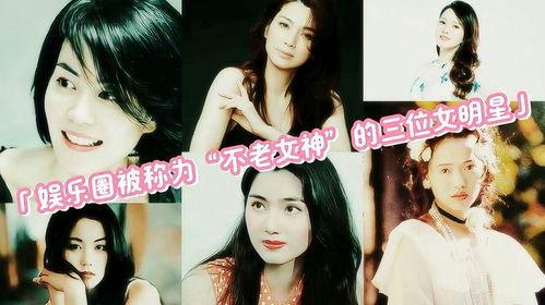 =明星演艺圈竞争激烈 演艺圈明星系列长篇,明星系列长篇之激烈竞争