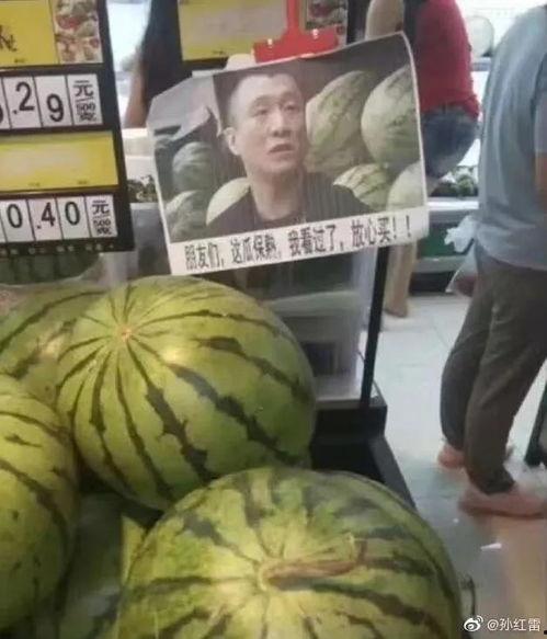 网红热瓜,揭秘网络红人的崛起与争议