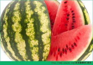 热门大瓜每日必吃大瓜 正能量,紧跟热门大瓜，汲取生活智慧